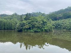 -滴水岩森林公园