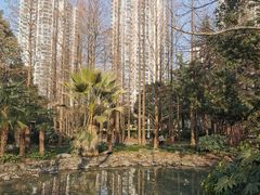 -苏州河梦清园环保主题公园