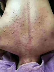 -香薇妮丝·定制减肥·身材管理