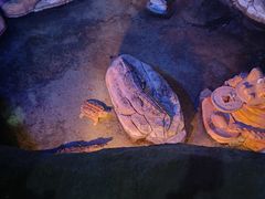 -蓬莱欧乐堡海洋极地世界