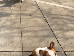 -北京赛佳动物医院