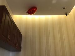 -宠爱国际动物医院· 猫科· 外科·中兽医(长白店)