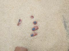 -天河沃尔玛
