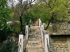 -北京鹫峰国家森林公园