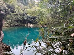 -石台牯牛降景区