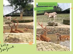 -武汉紫薇都市田园