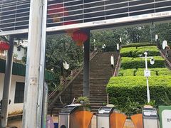 -昆明动物园