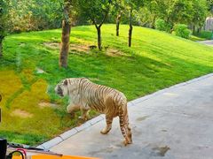 -北京野生动物园