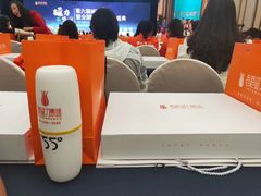 -圣爵菲斯大酒店(长沙世界之窗店)