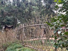 -蜀冈西峰生态公园