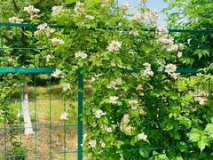 -呼吸森林·生态农庄农家乐私房菜