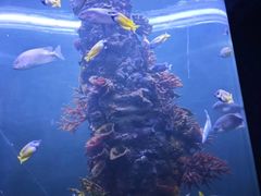 -西安曲江海洋极地公园