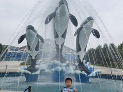 -石家庄极地海洋世界