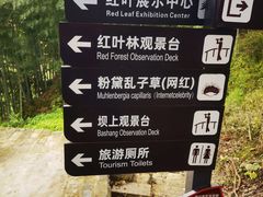 -塔川景区