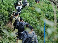 -午潮山国家森林公园