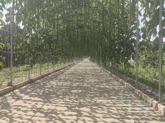 -北戴河集发农业梦想王国