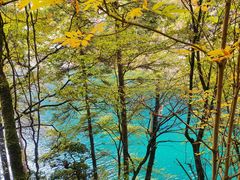 -叠溪松坪沟景区