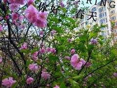 -老铜锅涮羊肉(大连海滨住宅小区店)