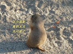 -佛冈森波拉度假区