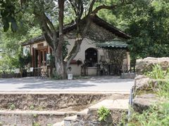 -村上春树