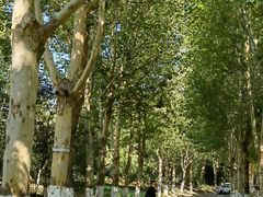 -春晖园度假酒店温泉