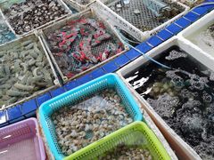 水产区-霞涌市场海鲜摆卖区