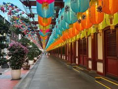 -新加坡佛牙寺龙华院