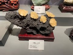 -湖南省地质博物馆