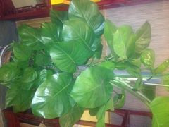 北纬37°SPA会所-北纬37°SPA养身会馆(湖西店)