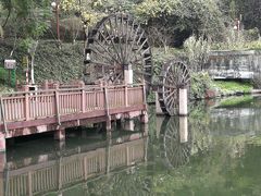 -重庆彩云湖湿地公园