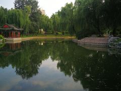 -万柳阁小馆·花园餐厅(龙潭湖店)