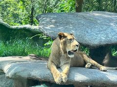 -北京野生动物园