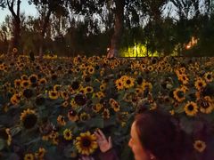 -长白岛森林公园