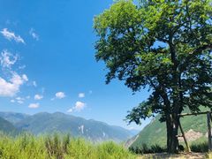-萝卜寨羌文化生态旅游区