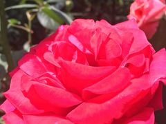 -西安曲江寒窑遗址公园