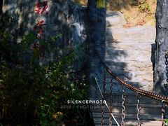 -清境桃源