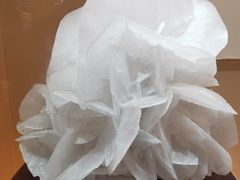 -抱璞文化展示中心