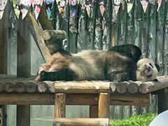 -鄂尔多斯野生动物园