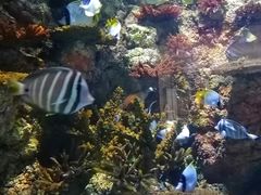 -乌鲁木齐海洋馆