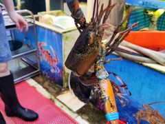 -船奇蒸汽海鲜·闽菜(八市海鲜总店)