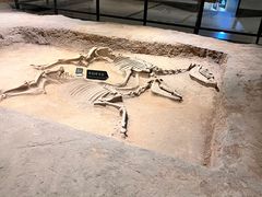 -洛阳周王城天子驾六博物馆