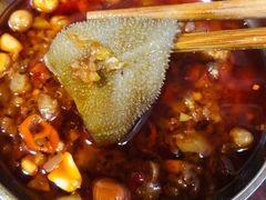 毛肚-重庆火锅(西安店)