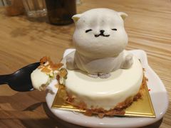 -藏猫猫咖啡主题馆(中央大道店)