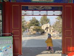 -西海子公园