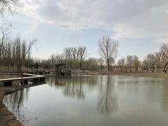 -东郊湿地公园