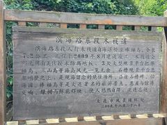-棒棰岛宾馆景区