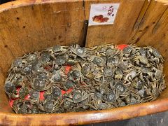 -初色海鲜自助(万丰路店)
