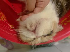 -平行世界·猫咖(首经贸店)
