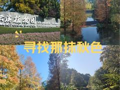 -云溪植物园