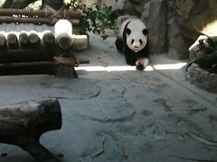 -灵玲国际马戏城